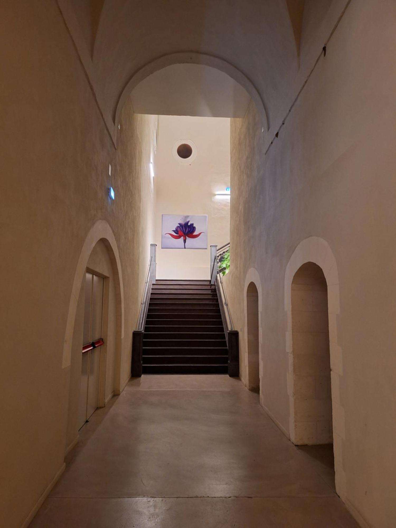 Chiostro Dei Domenicani - Dimora Storica Lecce Exteriör bild